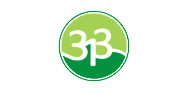 313 Payments Logo
